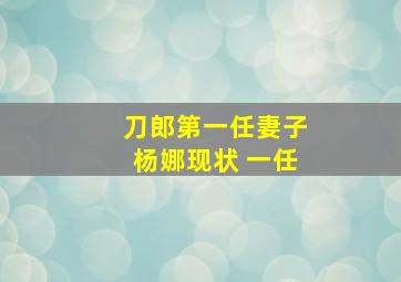 刀郎第一任妻子杨娜现状 一任